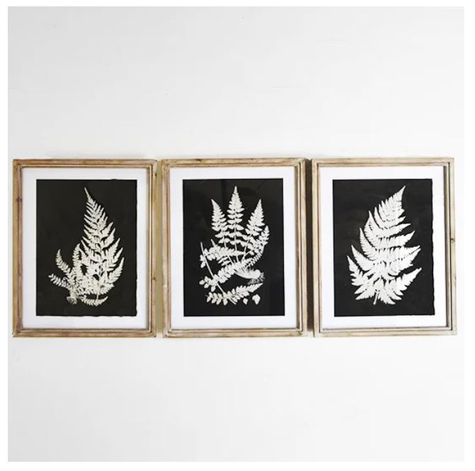 Fern Print