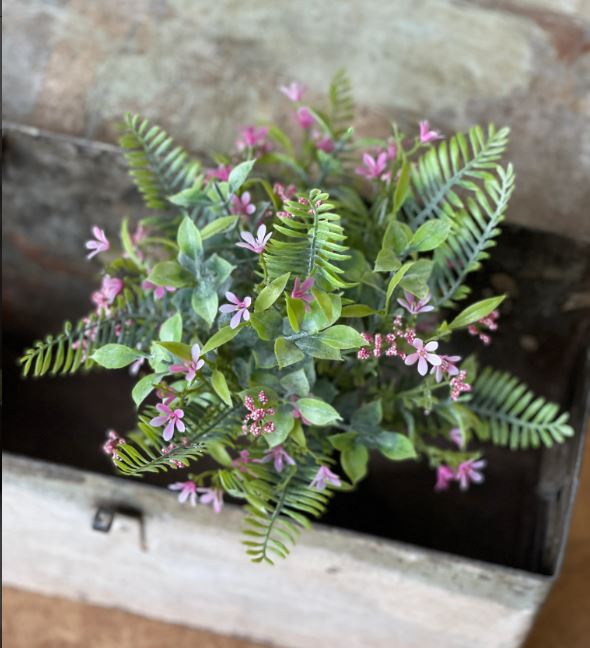 Fernshot Bush