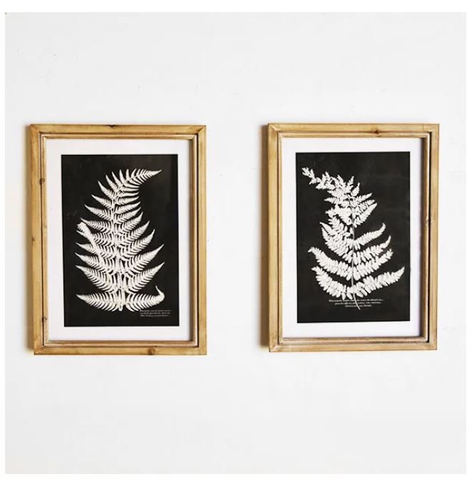 Framed Fern Wall Decor