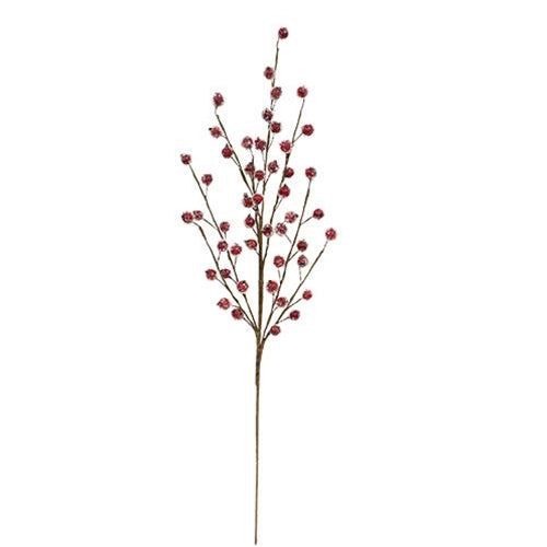 Icy Berry Branch
