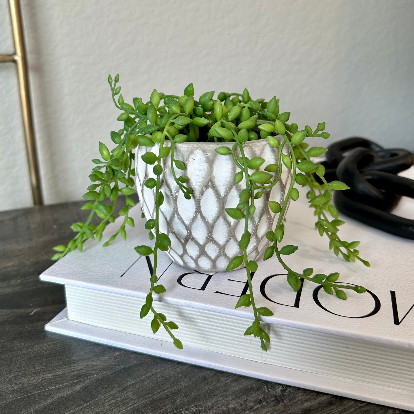 Trailing Succulent