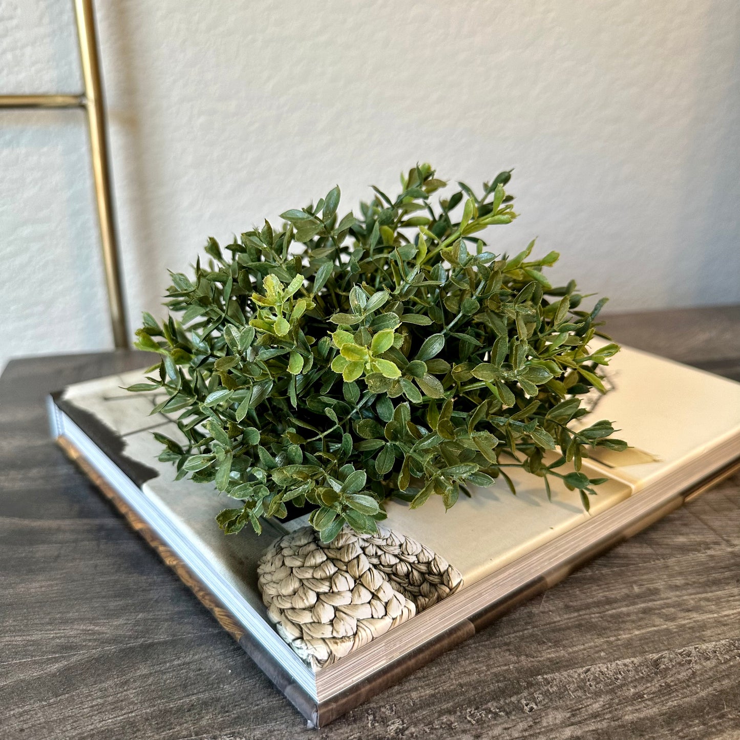 Boxwood Half Sphere
