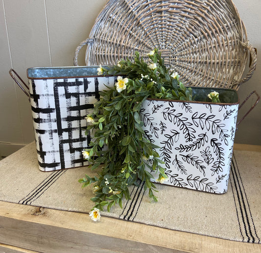 Printed Tin Container