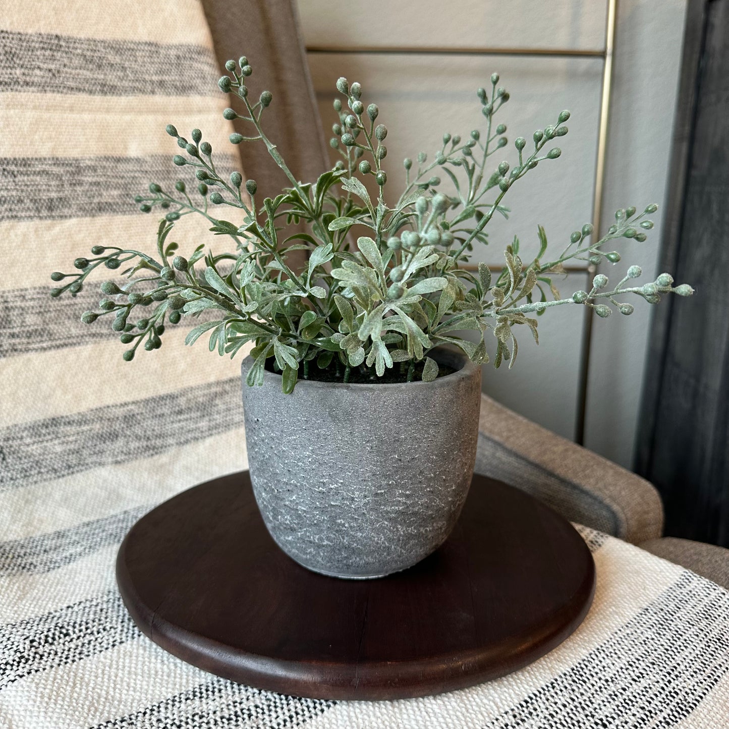 Wispy Plant
