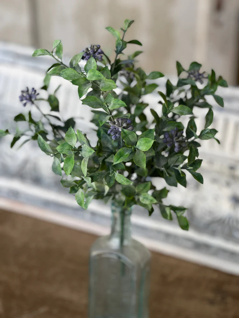 Lavender Bud Bush