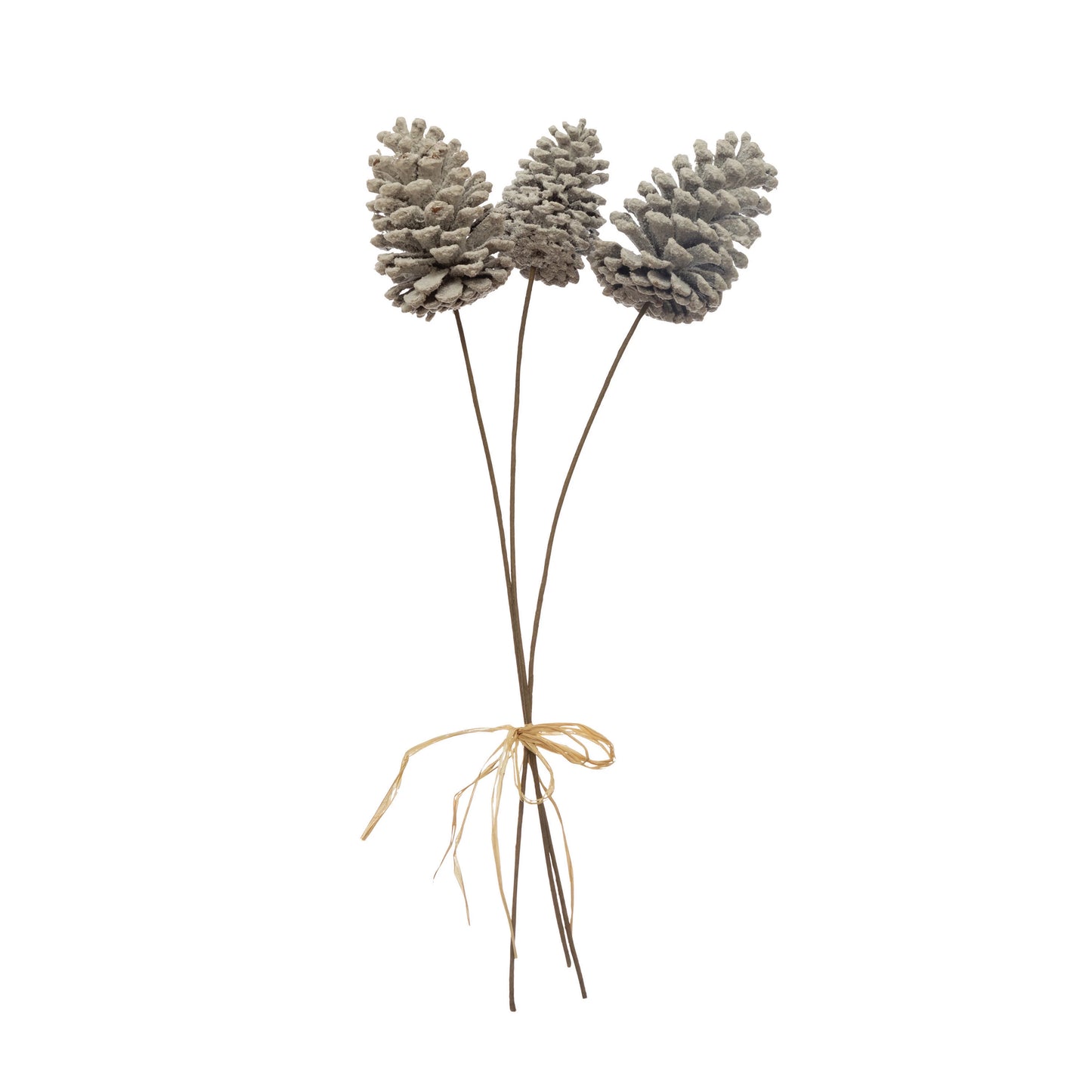 White Pinecone Bundle