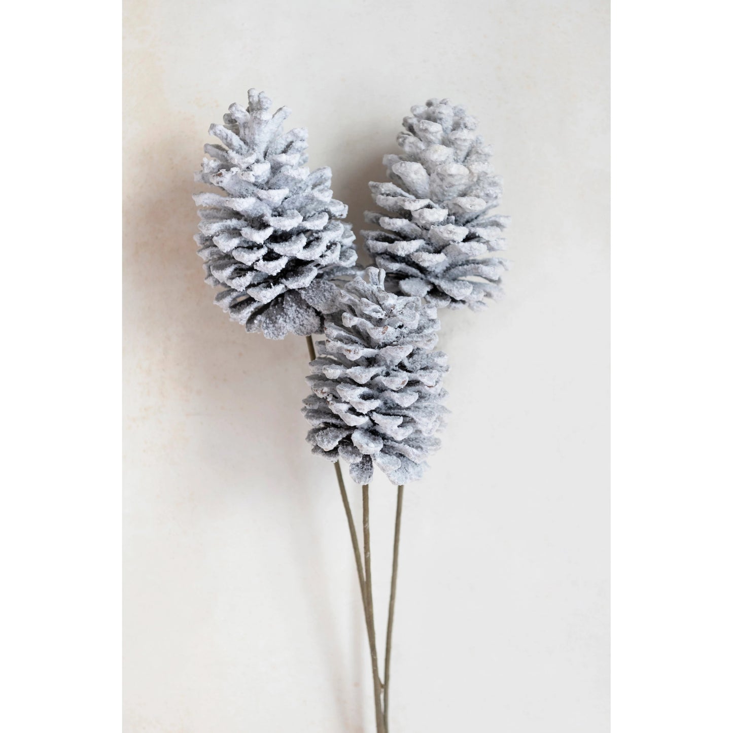 White Pinecone Bundle