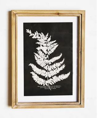 Framed Fern Wall Decor