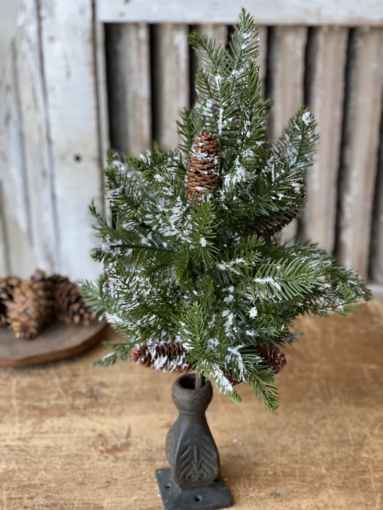 Snowy Pinecone Bush