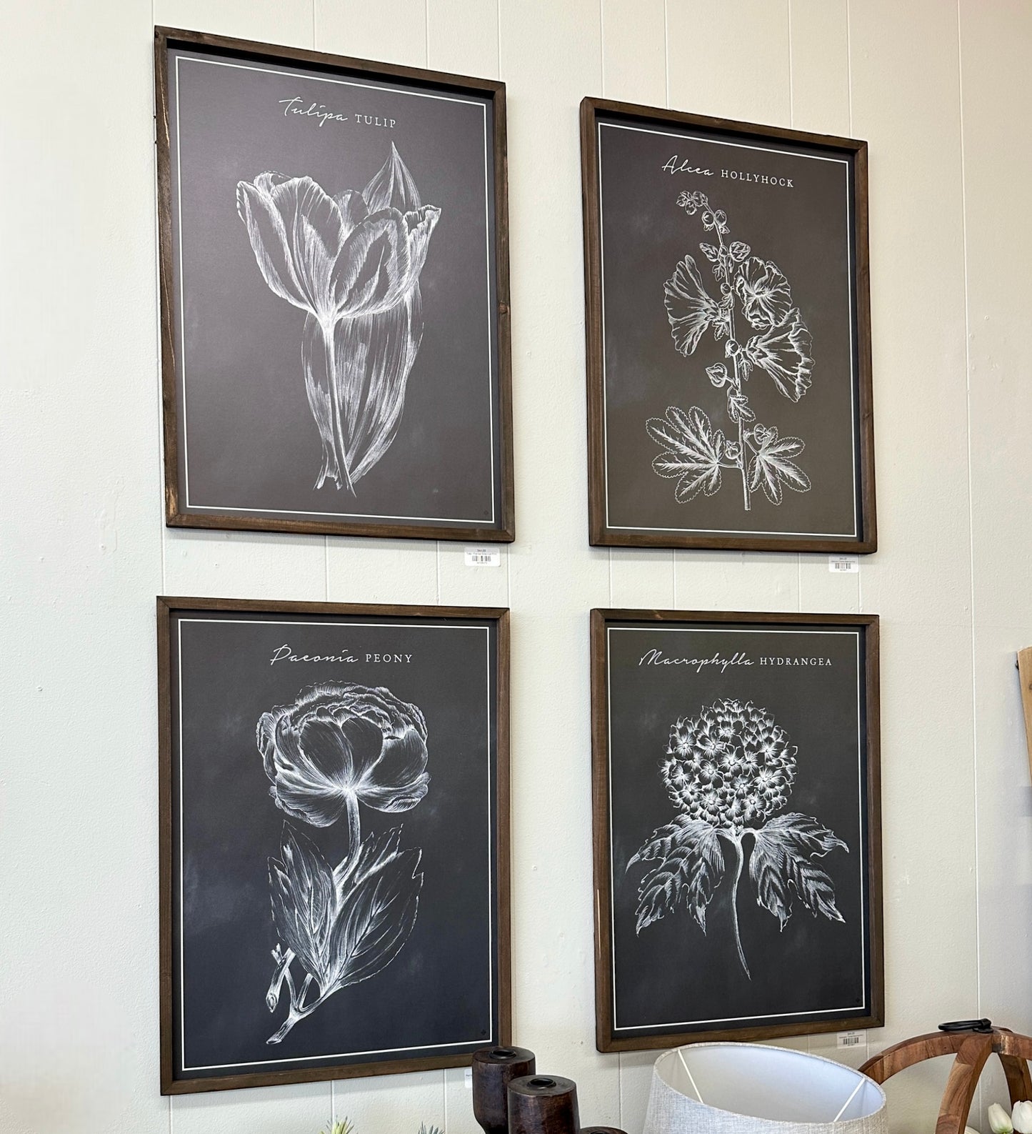 Framed Botanical Print