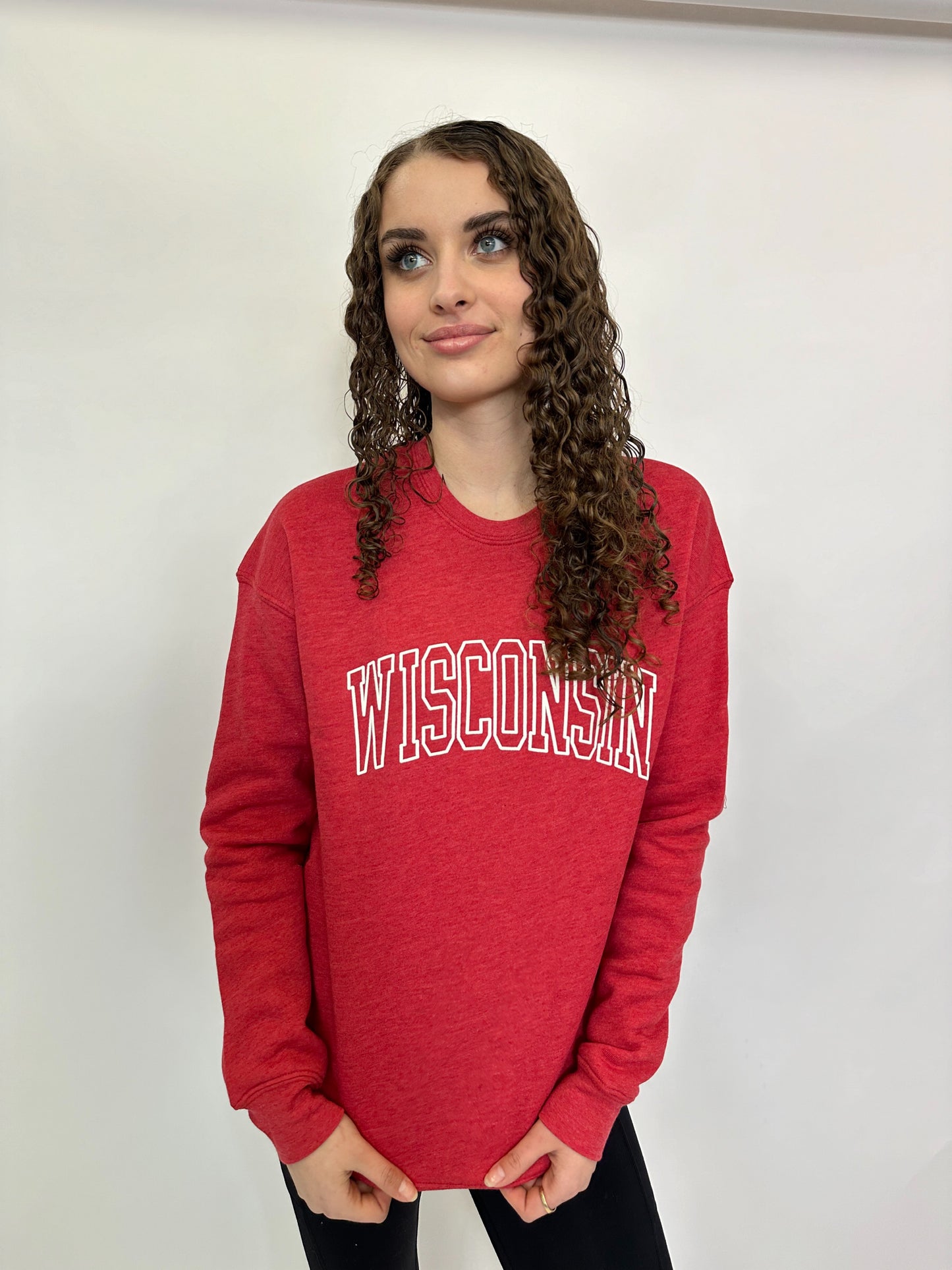 Wisconsin Sweatshirt - 6 Colors
