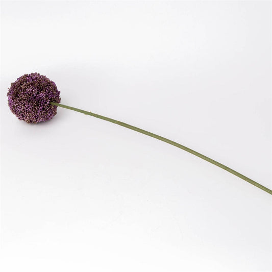 Allium Stem