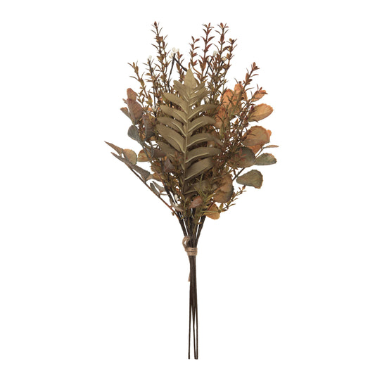 Brown Harvest Bush