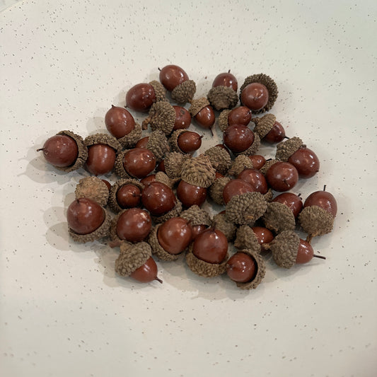 Acorn Bowl Filler