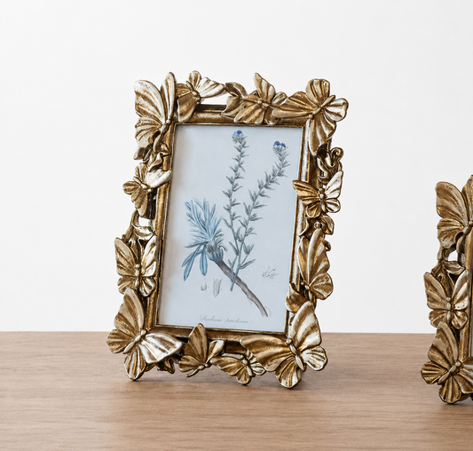 Butterfly Picture Frame