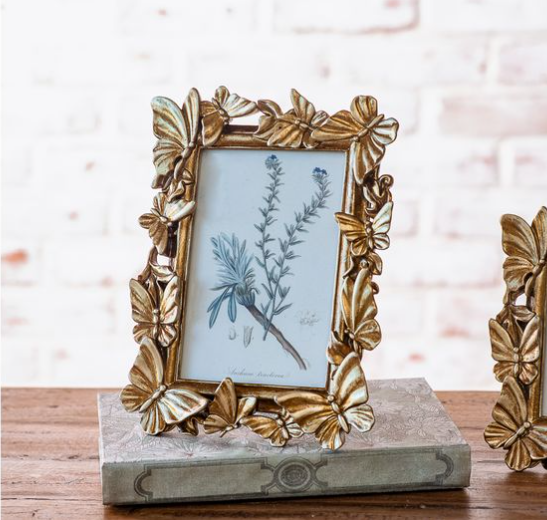 Butterfly Picture Frame