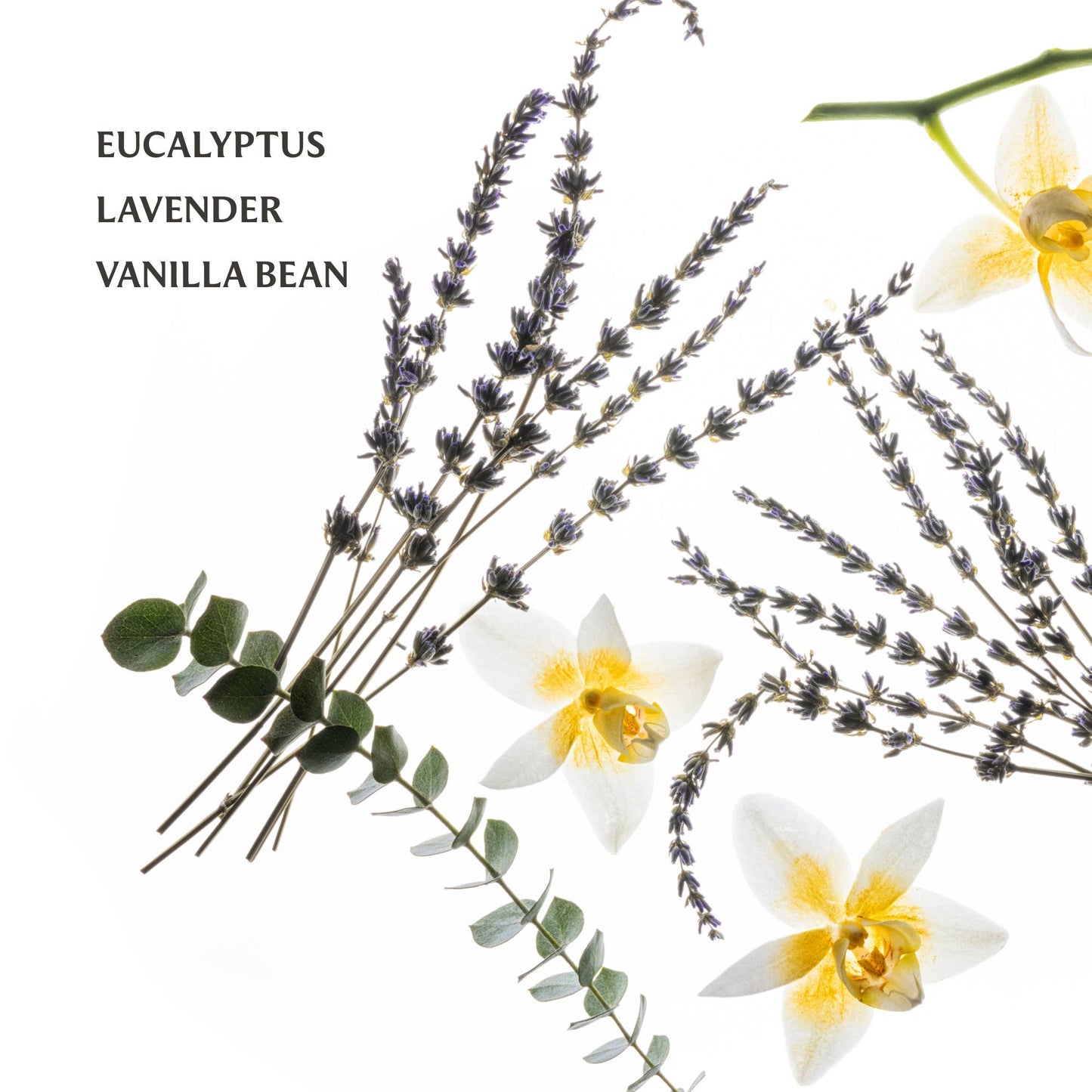 Pure Lavender Hydrating Hand Sanitizer