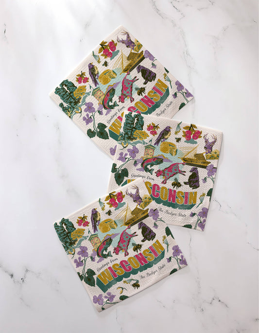 Geometry | Wisconsin Dishcloth Set