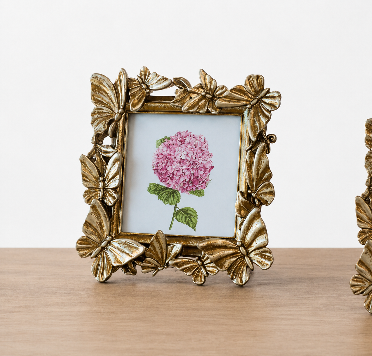 Butterfly Picture Frame