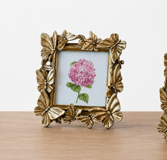 Butterfly Picture Frame