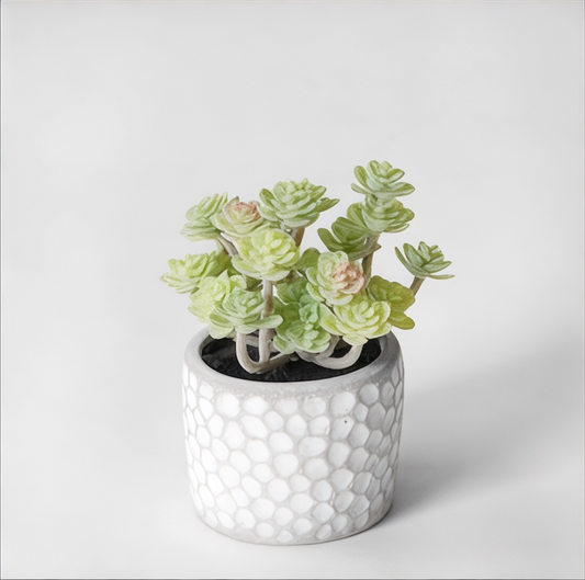 Faux Succulent