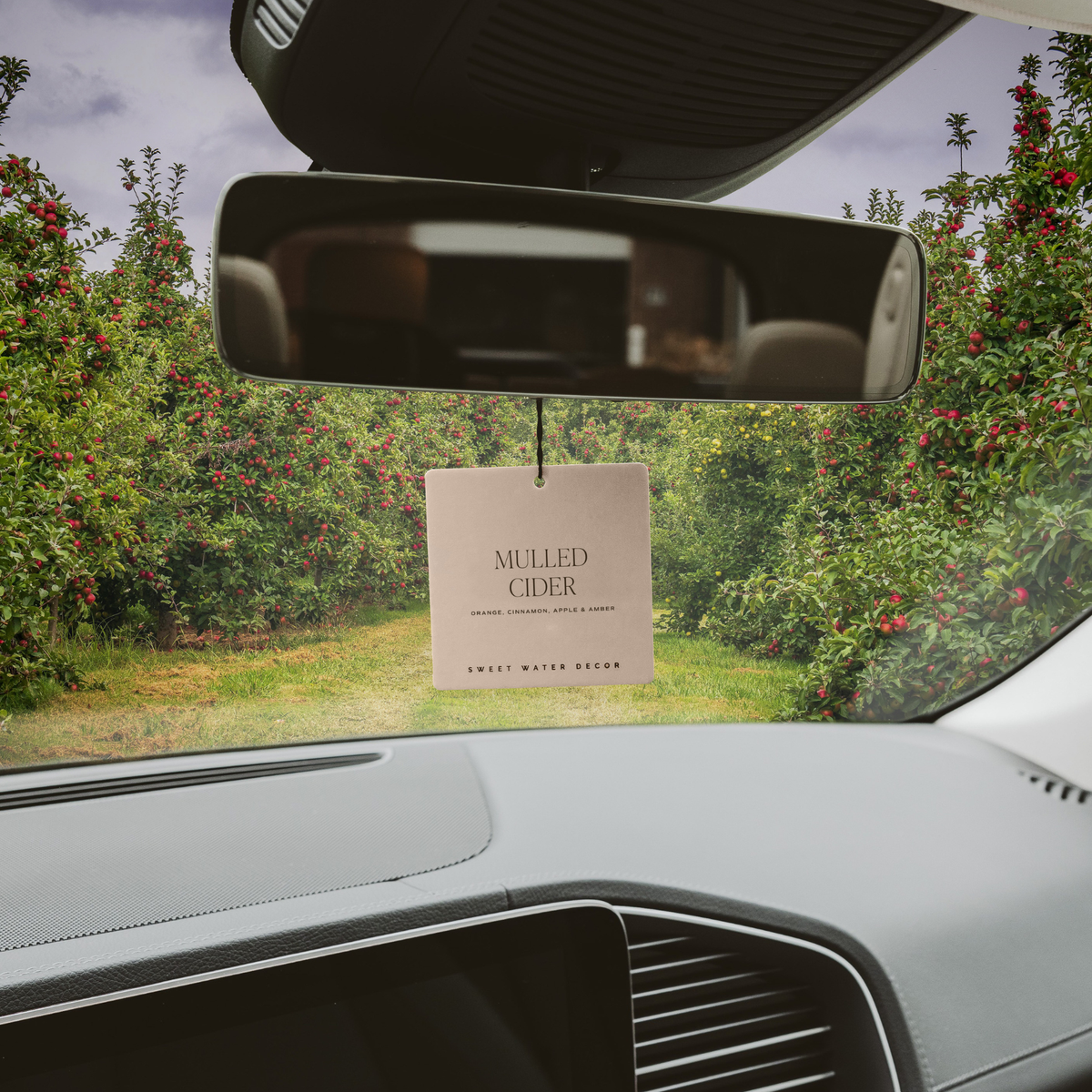 Car Freshener - Mulled Cider