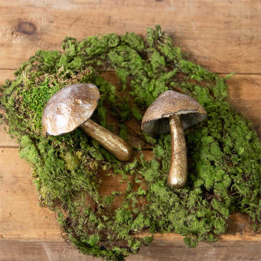 Brass Mushroom