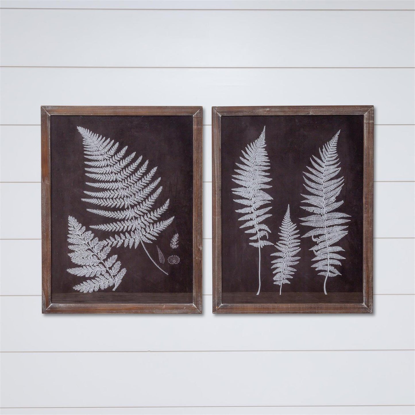 Framed Fern Print