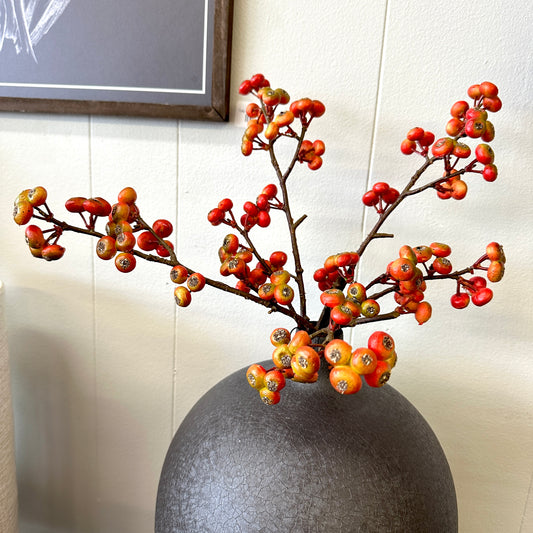 Orange Berry Stem