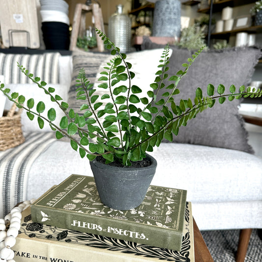 Faux Potted Fern