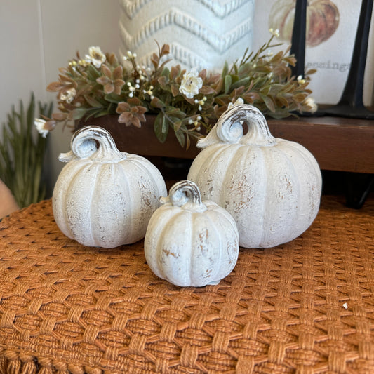 White Pumpkin