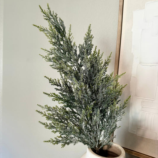 Winter Cedar Spray