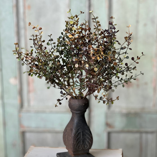 Leewood Shade Stem