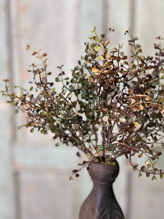 Leewood Shade Stem