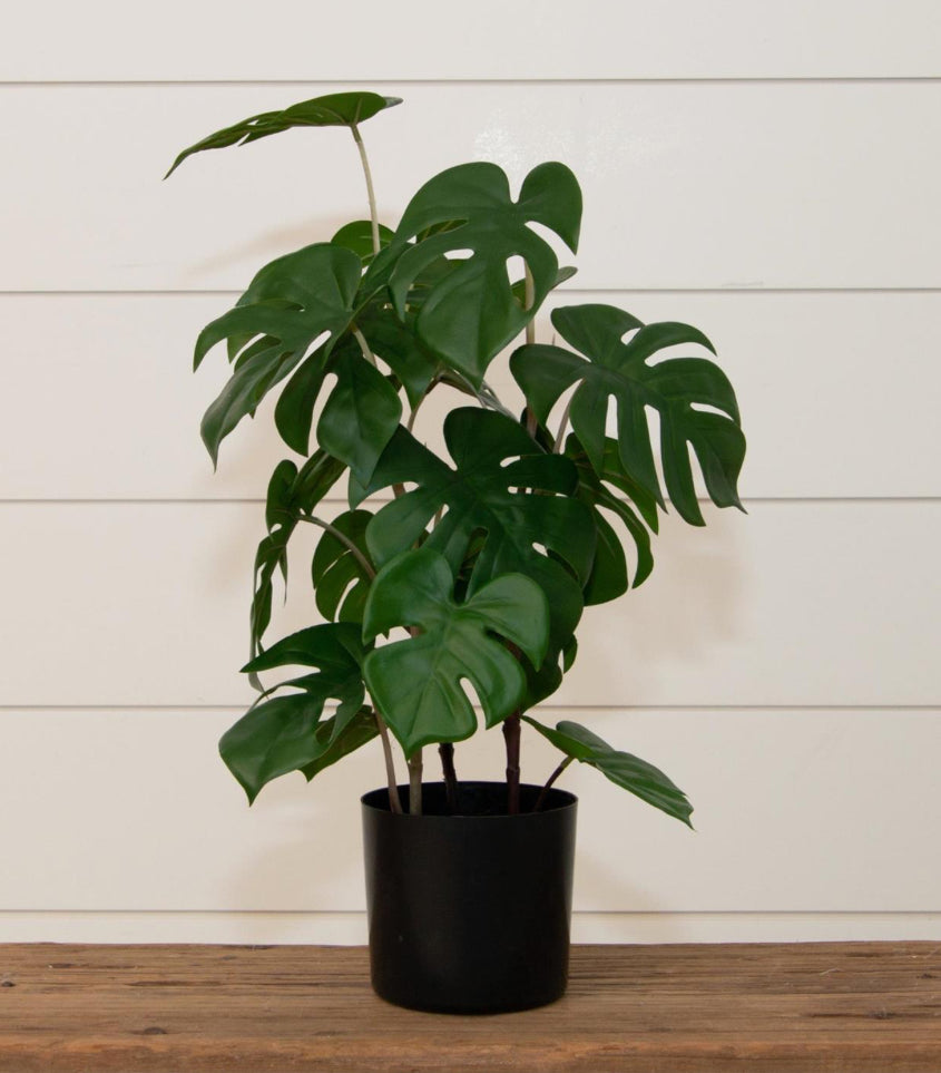 Faux Monstera Plant