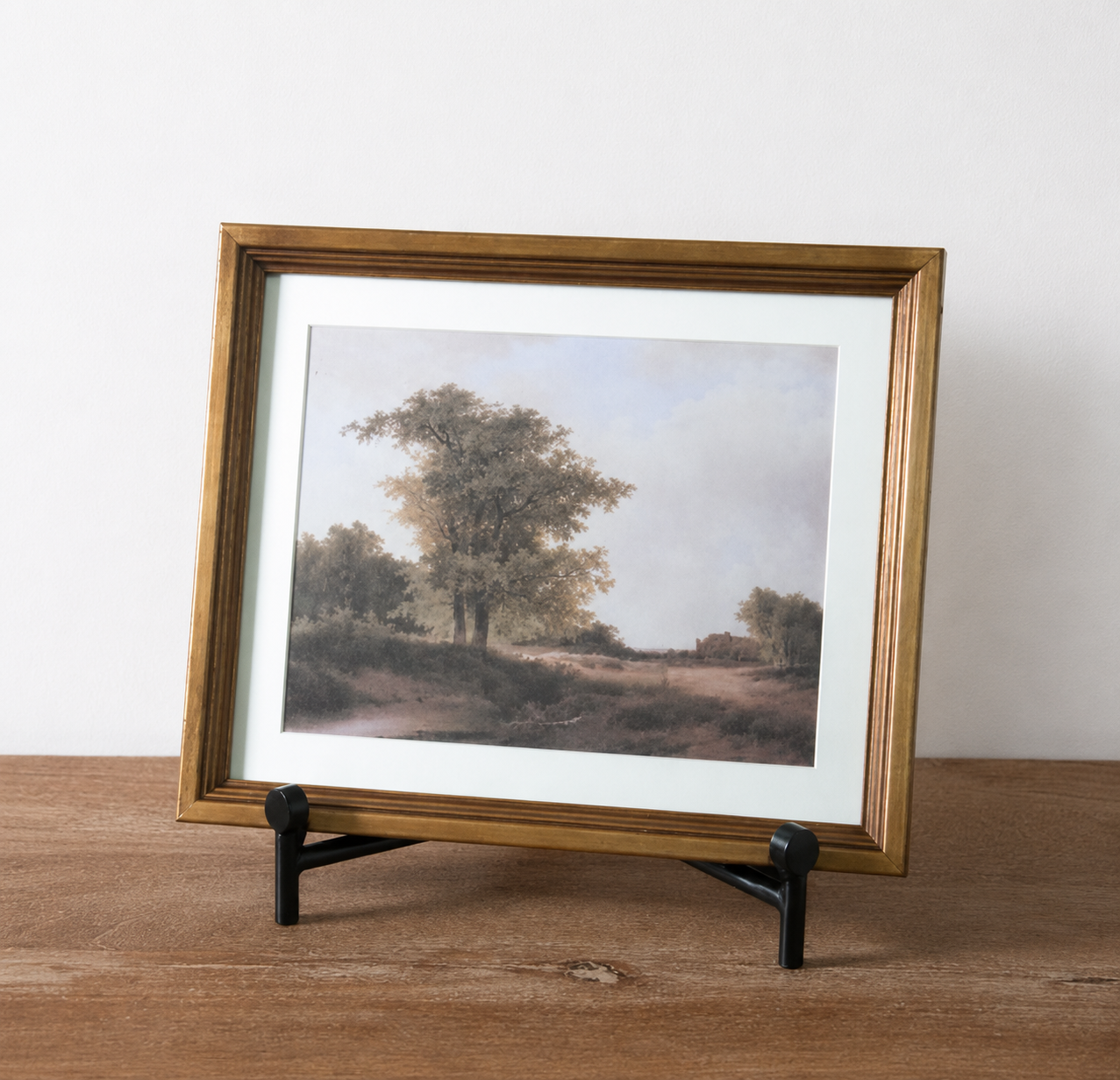 Framed Lanscape Print