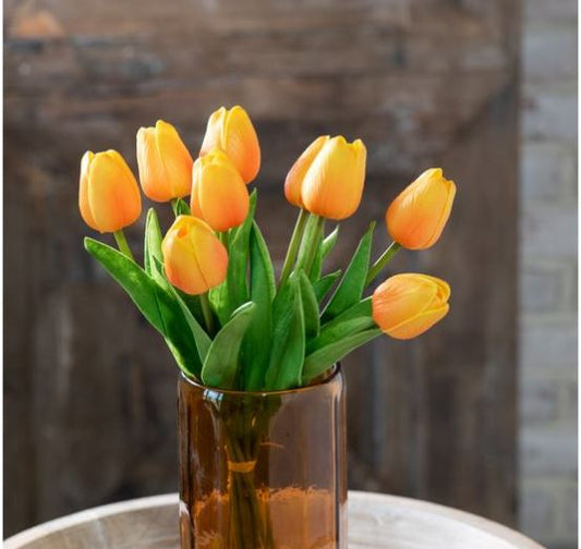 Sunset Tulip Bundle