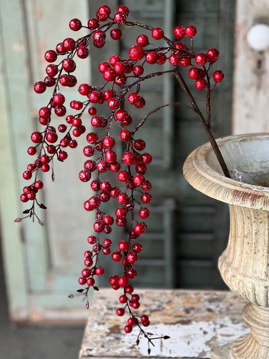 Hanging Red Berry Stem