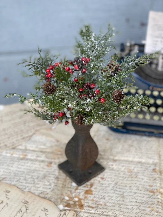 Winter Mix Bush