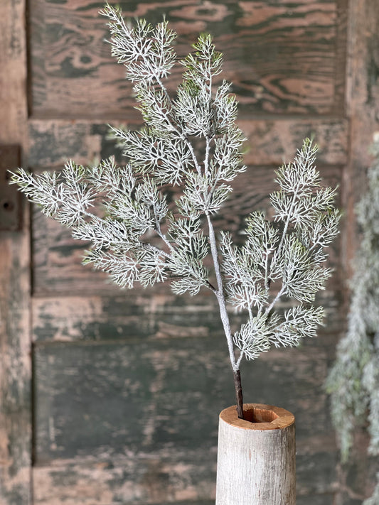 35" Fairisle Cedar Spray