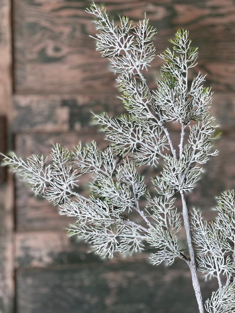 35" Fairisle Cedar Spray