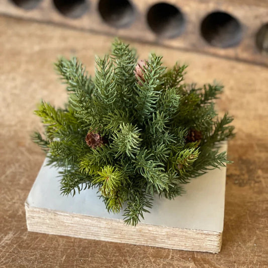 White Spruce Half Sphere