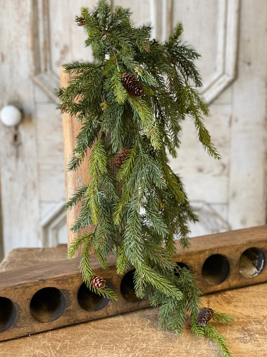 White Spruce Hanging Branch