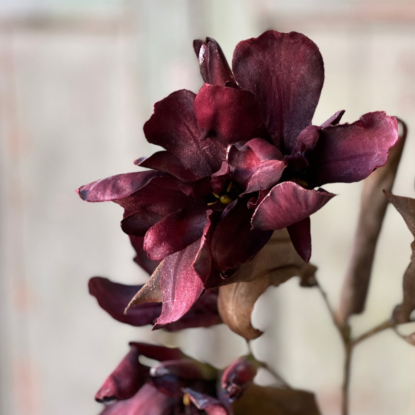 Fall Canna Spray
