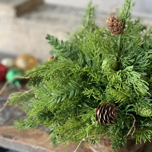 Bristlecone Cedar Half Sphere