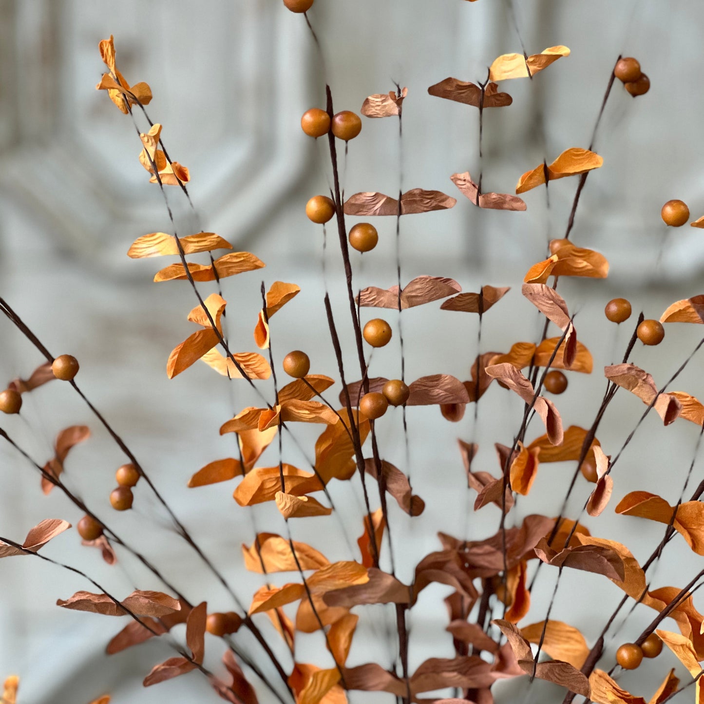 Morse Berry Bush