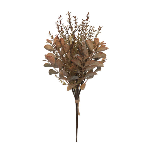 Brown Harvest Bush