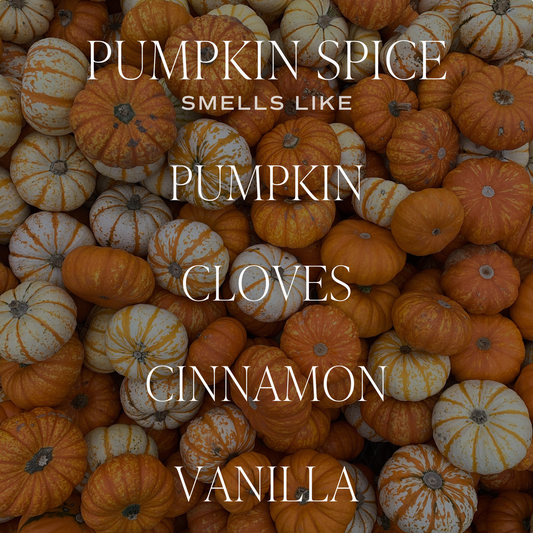 Pumpkin Spice Car Freshener