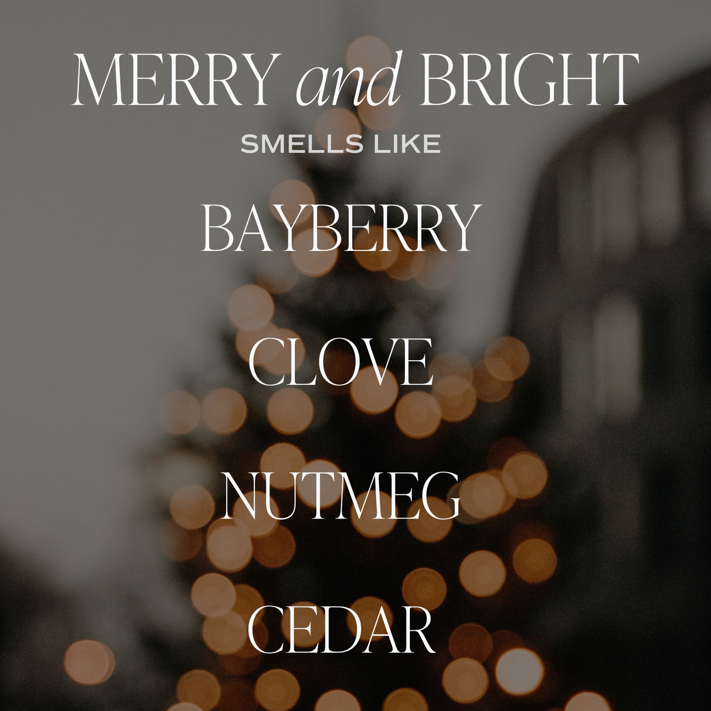 Merry and Bright Soy Candle