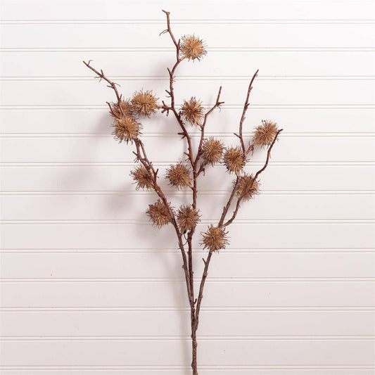 Autumn Pod Stem